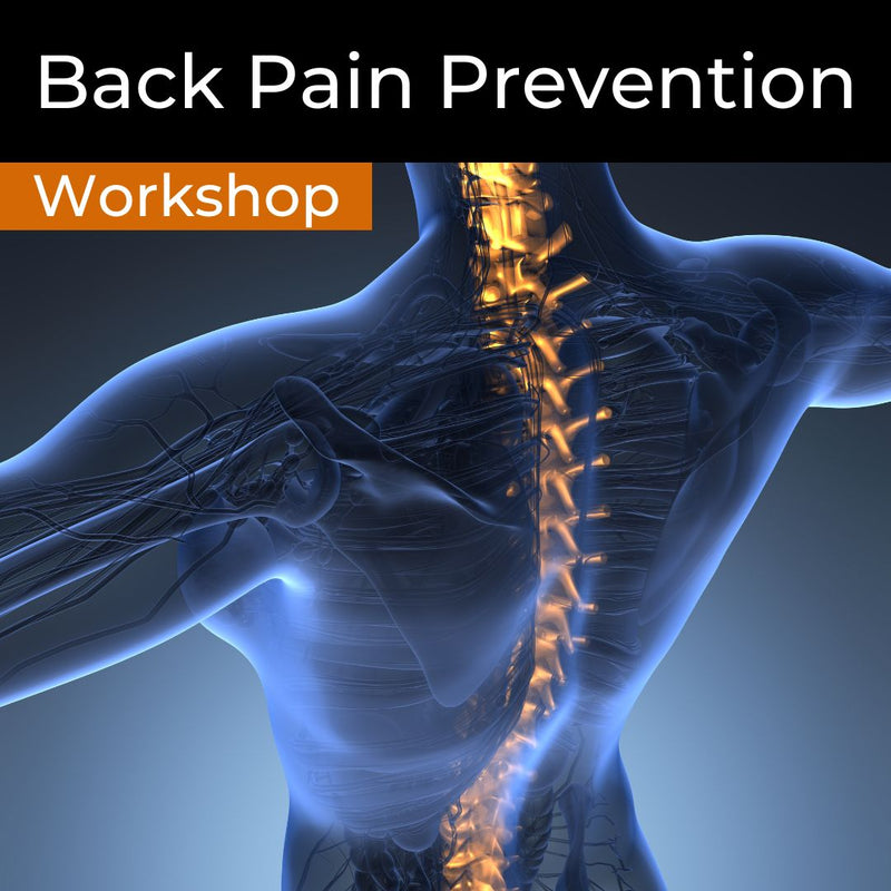 Back Pain Prevention