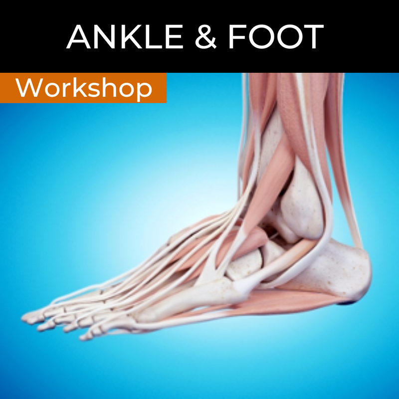 Ankle and Foot Anatomy, Injuries, Ailments, Assessments & Exercises