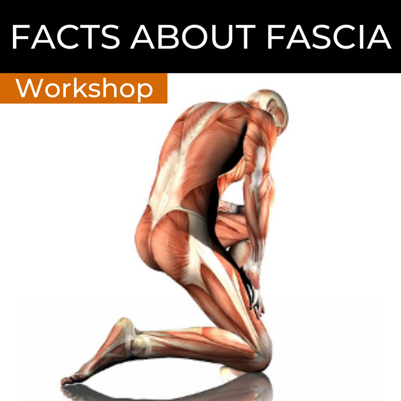 Facts About Fascia