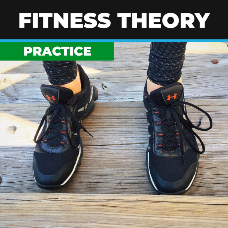 Fitness Theory Practice Exam