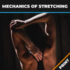 Mechanics of Stretching PRINT