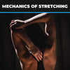 Mechanics of Stretching