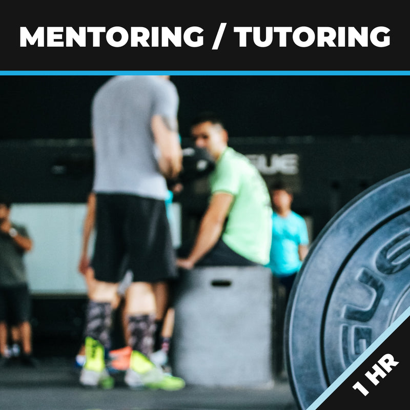 Mentoring/Tutoring 1 HR
