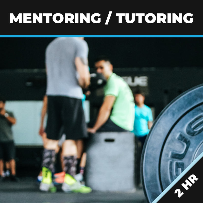 Mentoring/Tutoring 2HR