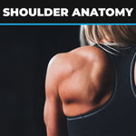 Shoulder Anatomy, Ailments, Injuries & Exercises