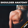 Shoulder Anatomy, Ailments, Injuries & Exercises PRINT