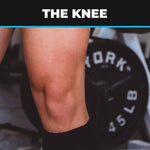 Knee Anatomy, Injuries, Ailments, Assessments & Exercises
