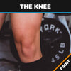 Knee Anatomy, Injuries, Ailments, Assessments & Exercises